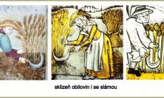 Středověké srpy v obrazech a iluminacích